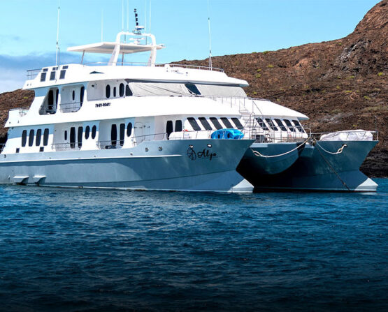 Cruise the Galapagos Islands on Catamaran Alya