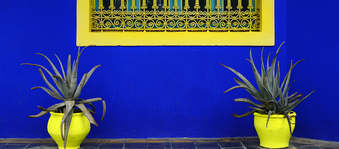 The Colors of Morocco